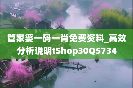 管家婆一码一肖免费资料_高效分析说明tShop30Q5734