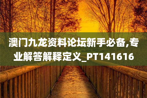 澳门九龙资料论坛新手必备,专业解答解释定义_PT141616