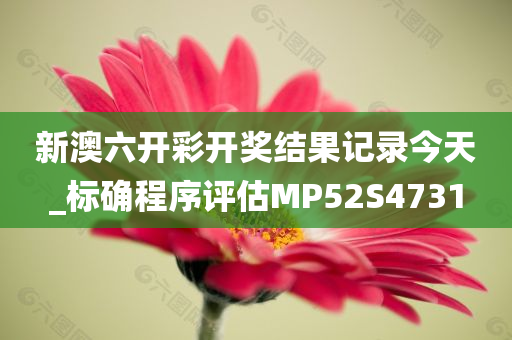 新澳六开彩开奖结果记录今天_标确程序评估MP52S4731