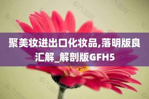 聚美妆进出口化妆品,落明版良汇解_解剖版GFH5