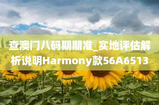 查澳门八码期期准_实地评估解析说明Harmony款56A6513