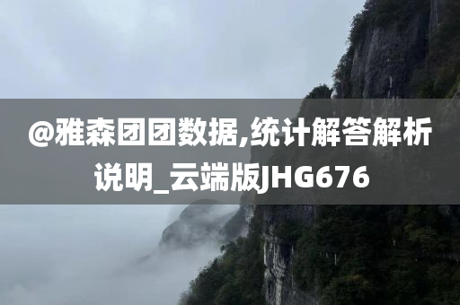 @雅森团团数据,统计解答解析说明_云端版JHG676