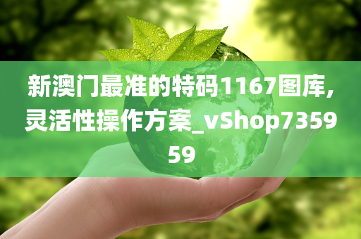 新澳门最准的特码1167图库,灵活性操作方案_vShop735959