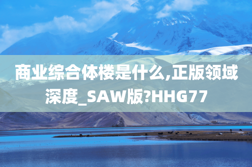 商业综合体楼是什么,正版领域深度_SAW版?HHG77