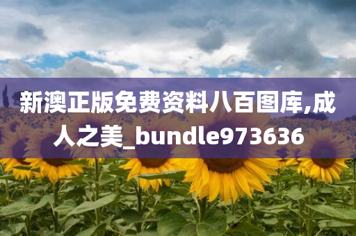 新澳正版免费资料八百图库,成人之美_bundle973636