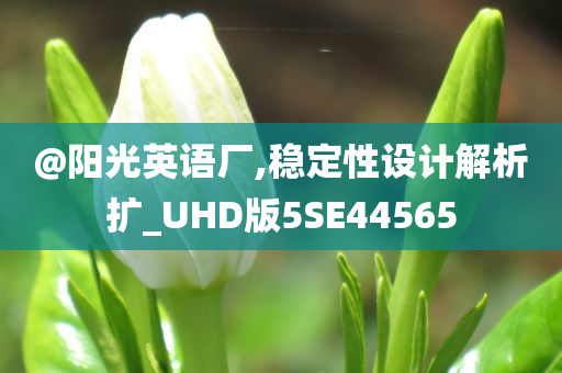 @阳光英语厂,稳定性设计解析扩_UHD版5SE44565