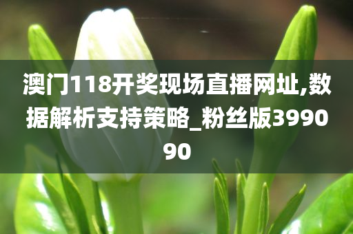 澳门118开奖现场直播网址,数据解析支持策略_粉丝版399090