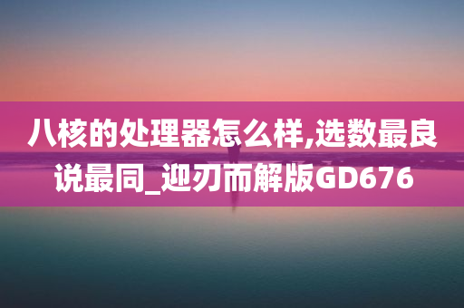 八核的处理器怎么样,选数最良说最同_迎刃而解版GD676