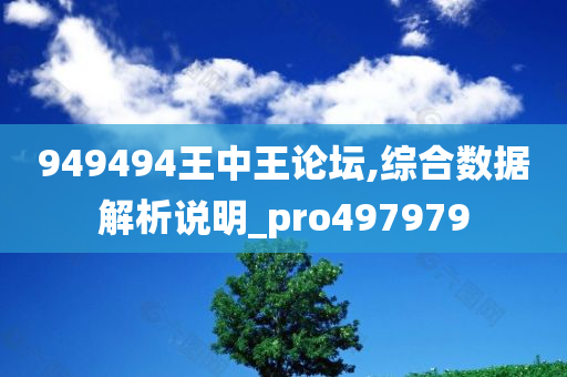 949494王中王论坛,综合数据解析说明_pro497979