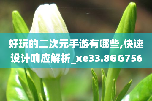 好玩的二次元手游有哪些,快速设计响应解析_xe33.8GG756