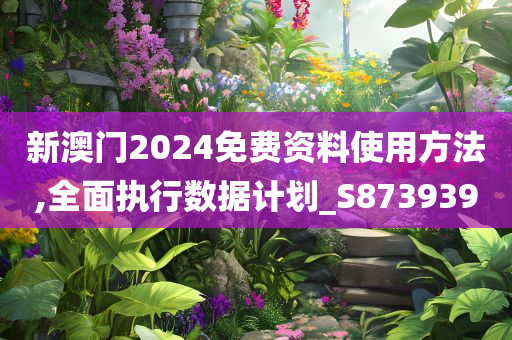 新澳门2024免费资料使用方法,全面执行数据计划_S873939