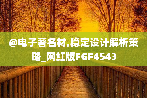 @电子著名材,稳定设计解析策略_网红版FGF4543