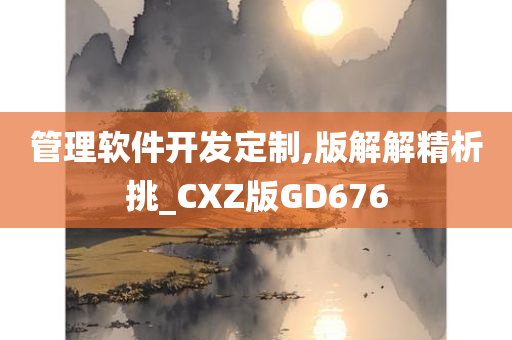 管理软件开发定制,版解解精析挑_CXZ版GD676