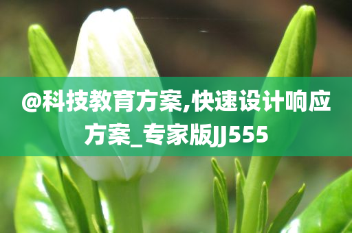 @科技教育方案,快速设计响应方案_专家版JJ555