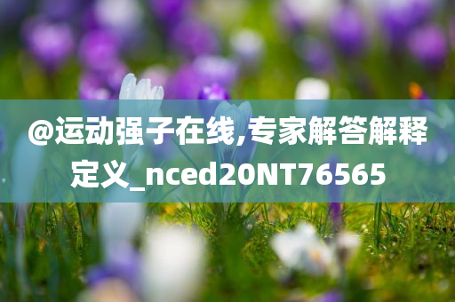 @运动强子在线,专家解答解释定义_nced20NT76565