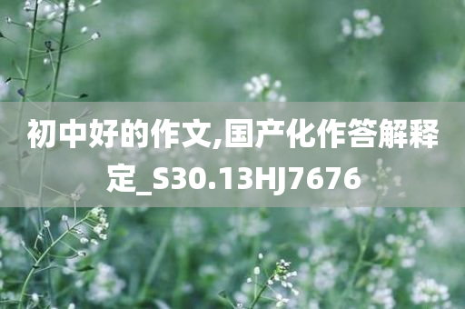 初中好的作文,国产化作答解释定_S30.13HJ7676