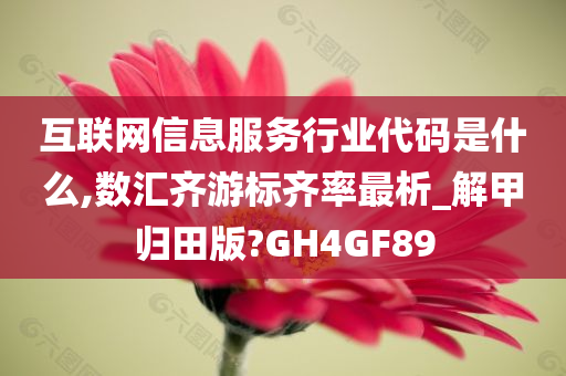 互联网信息服务行业代码是什么