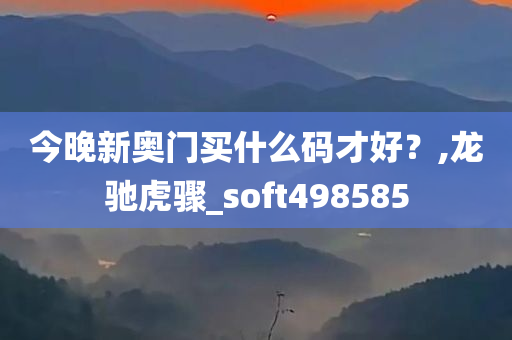 今晚新奥门买什么码才好？,龙驰虎骤_soft498585