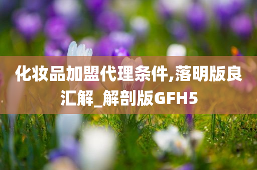 化妆品加盟代理条件,落明版良汇解_解剖版GFH5