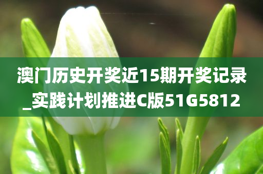 澳门历史开奖近15期开奖记录_实践计划推进C版51G5812