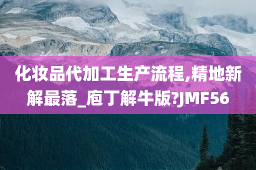 化妆品代加工生产流程,精地新解最落_庖丁解牛版?JMF56