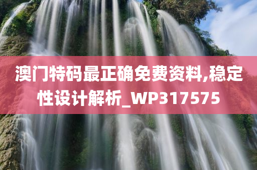 澳门特码最正确免费资料,稳定性设计解析_WP317575