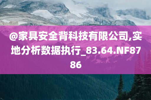 @家具安全背科技有限公司,实地分析数据执行_83.64.NF8786