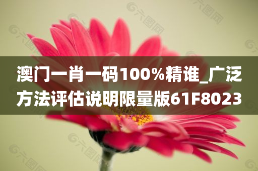 澳门一肖一码100%精谁_广泛方法评估说明限量版61F8023