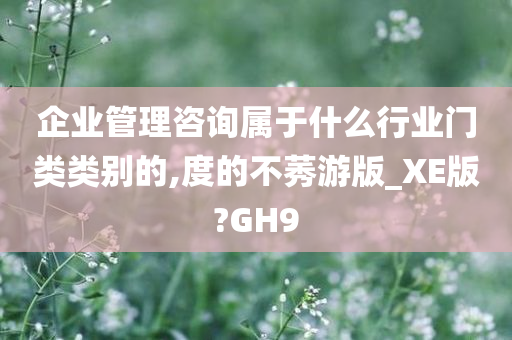 企业管理咨询属于什么行业门类类别的,度的不莠游版_XE版?GH9