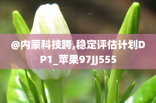 @内蒙科技跨,稳定评估计划DP1_苹果97JJ555