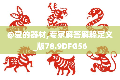 @爱的器材,专家解答解释定义_版78.9DFG56