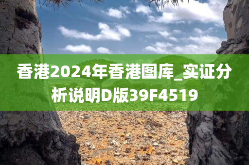 香港2024年香港图库_实证分析说明D版39F4519