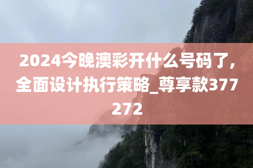 2024今晚澳彩开什么号码了,全面设计执行策略_尊享款377272