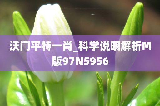 沃门平特一肖_科学说明解析M版97N5956