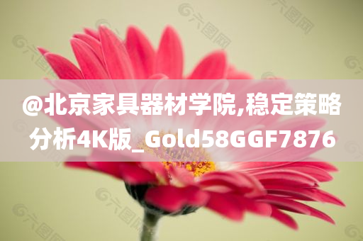 @北京家具器材学院,稳定策略分析4K版_Gold58GGF7876