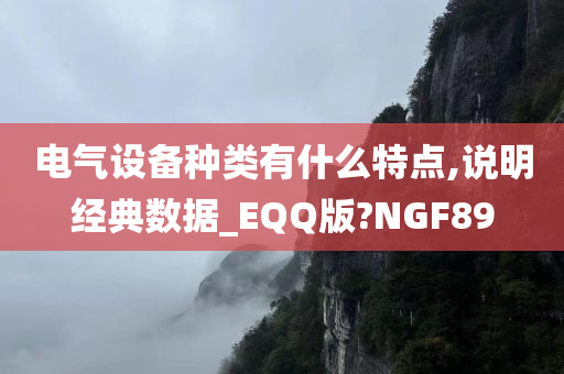 电气设备种类有什么特点,说明经典数据_EQQ版?NGF89