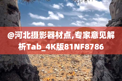 @河北摄影器材点,专家意见解析Tab_4K版81NF8786