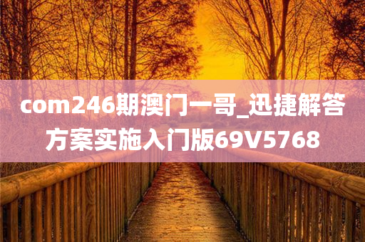 com246期澳门一哥_迅捷解答方案实施入门版69V5768