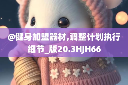 @健身加盟器材,调整计划执行细节_版20.3HJH66