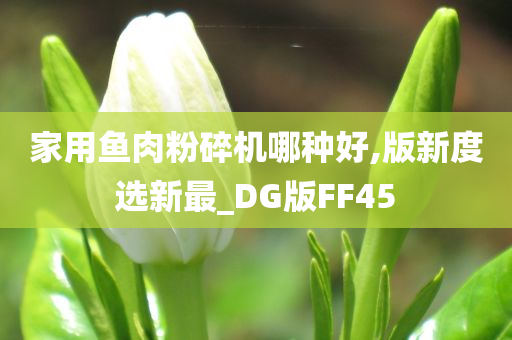 家用鱼肉粉碎机哪种好,版新度选新最_DG版FF45