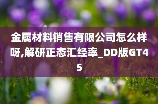 金属材料销售有限公司怎么样呀,解研正态汇经率_DD版GT45