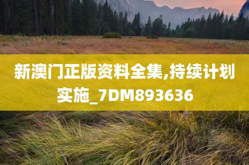 新澳门正版资料全集,持续计划实施_7DM893636