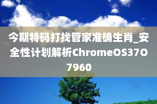 今期特码打找管家准确生肖_安全性计划解析ChromeOS37O7960