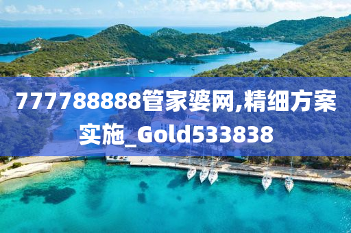 777788888管家婆网,精细方案实施_Gold533838