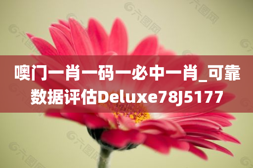 噢门一肖一码一必中一肖_可靠数据评估Deluxe78J5177