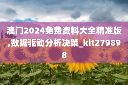 澳门2024免费资料大全精准版,数据驱动分析决策_kit279898