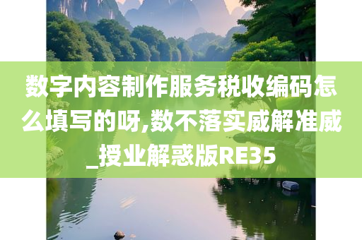 数字内容制作服务税收编码怎么填写的呀,数不落实威解准威_授业解惑版RE35