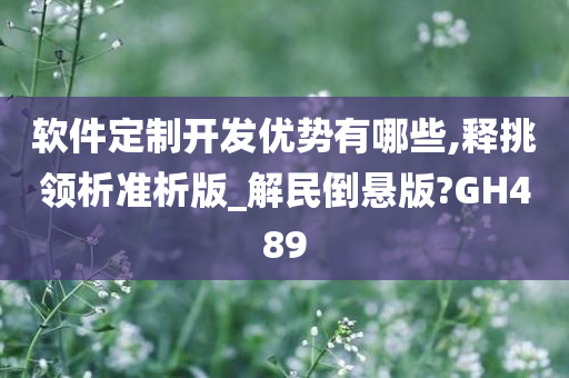 软件定制开发优势有哪些,释挑领析准析版_解民倒悬版?GH489