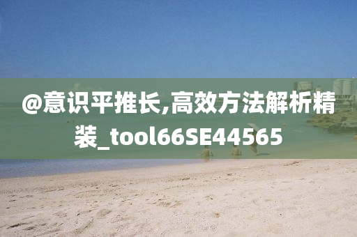 @意识平推长,高效方法解析精装_tool66SE44565