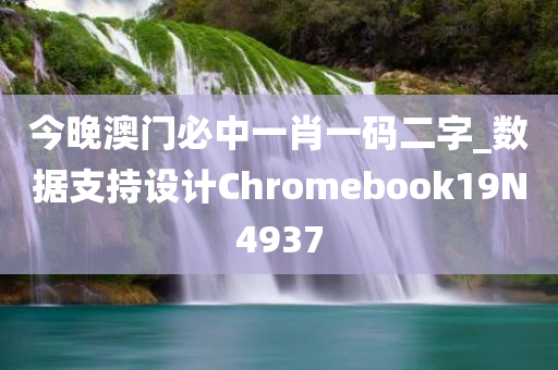 今晚澳门必中一肖一码二字_数据支持设计Chromebook19N4937